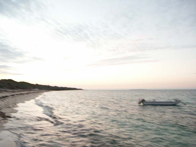 PICT0373