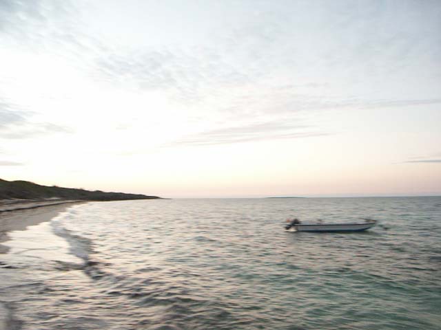 PICT0374