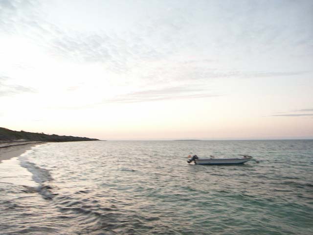 PICT0375