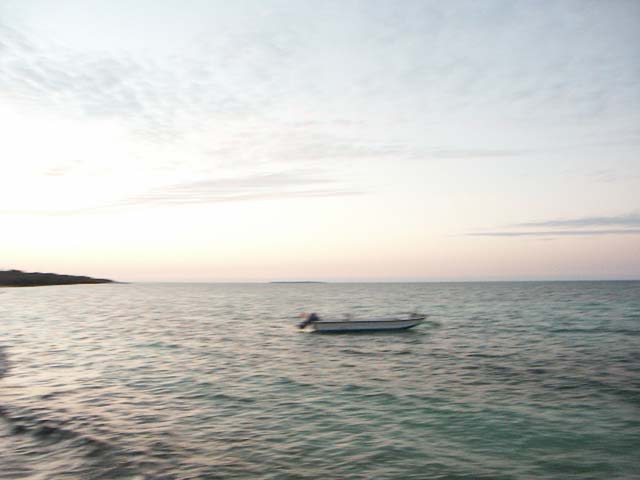 PICT0377