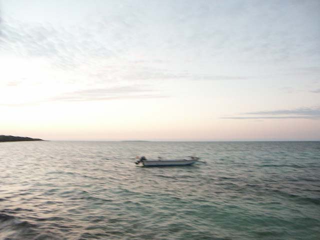 PICT0378