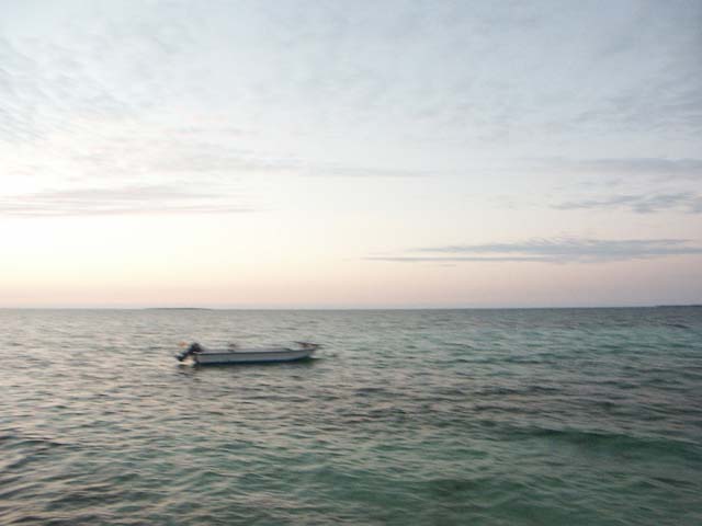 PICT0381