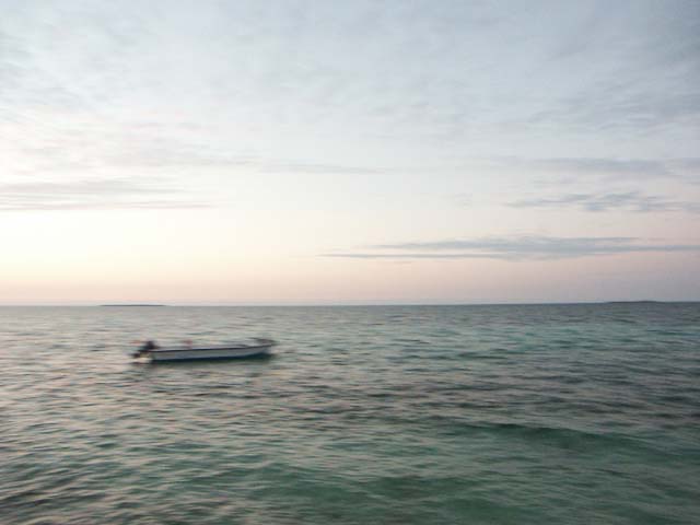 PICT0382