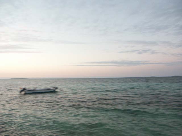 PICT0383