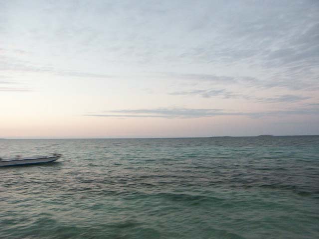 PICT0385