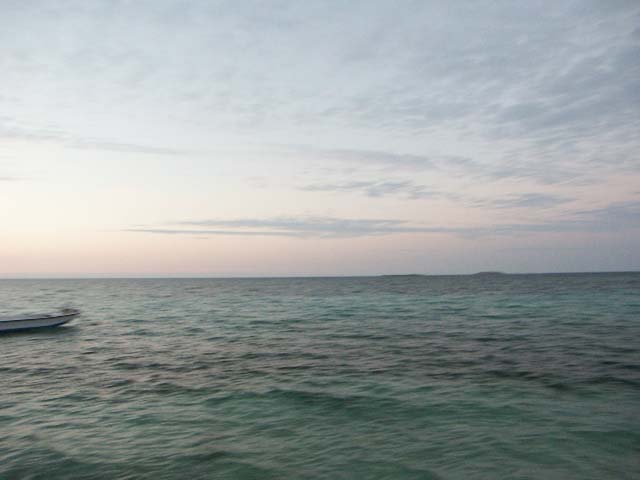 PICT0386