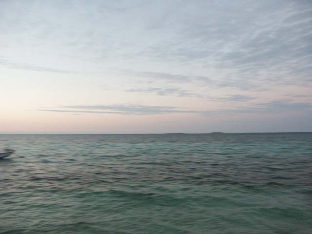PICT0387