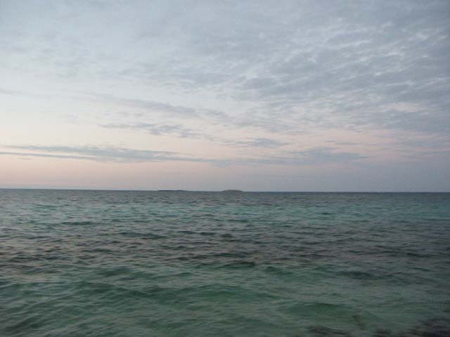 PICT0390