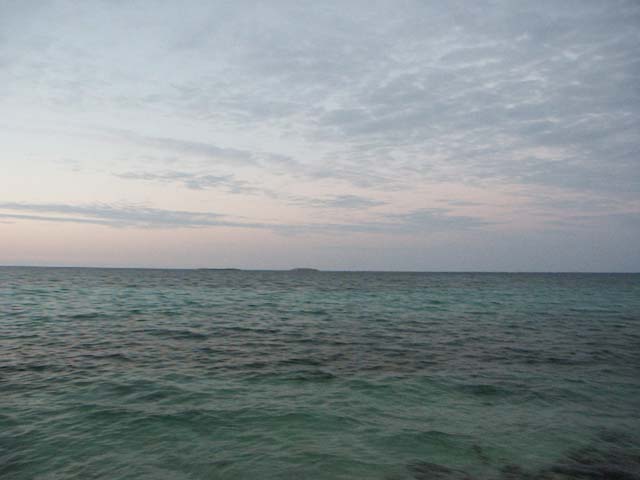 PICT0391
