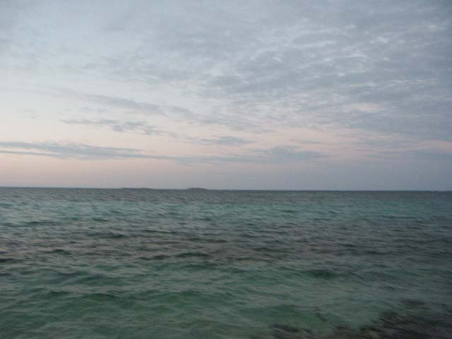 PICT0392