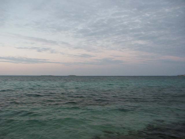 PICT0393