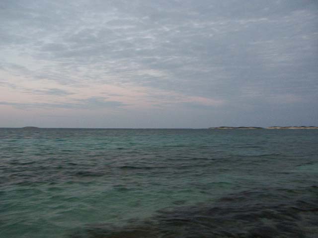 PICT0398
