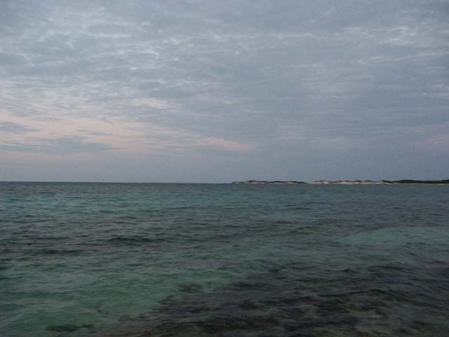 PICT0401