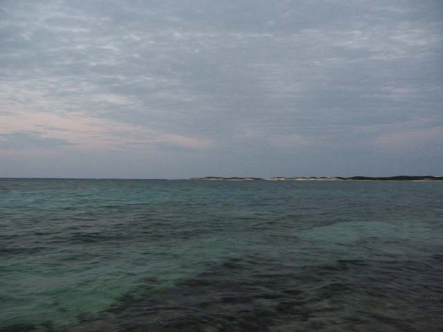 PICT0403