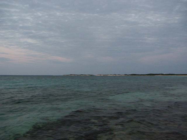 PICT0405