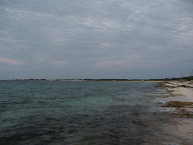 PICT0410