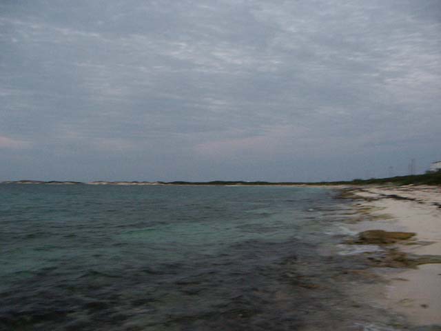 PICT0411