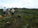 PICT0020