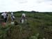 PICT0110