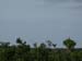 PICT0206