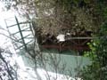 PICT0078