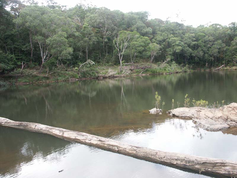 PICT0146