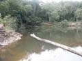 PICT0145