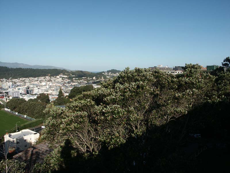 PICT0053
