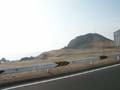 PICT0008