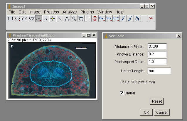 how to use imagej software to measure areas