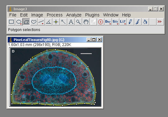 imagej online