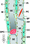 Figure 1. Figure 1.