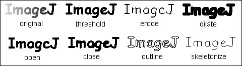 Examples