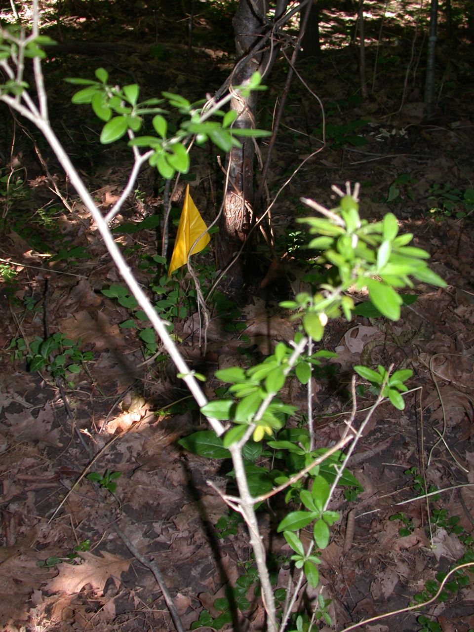 DSCN4119.JPG
