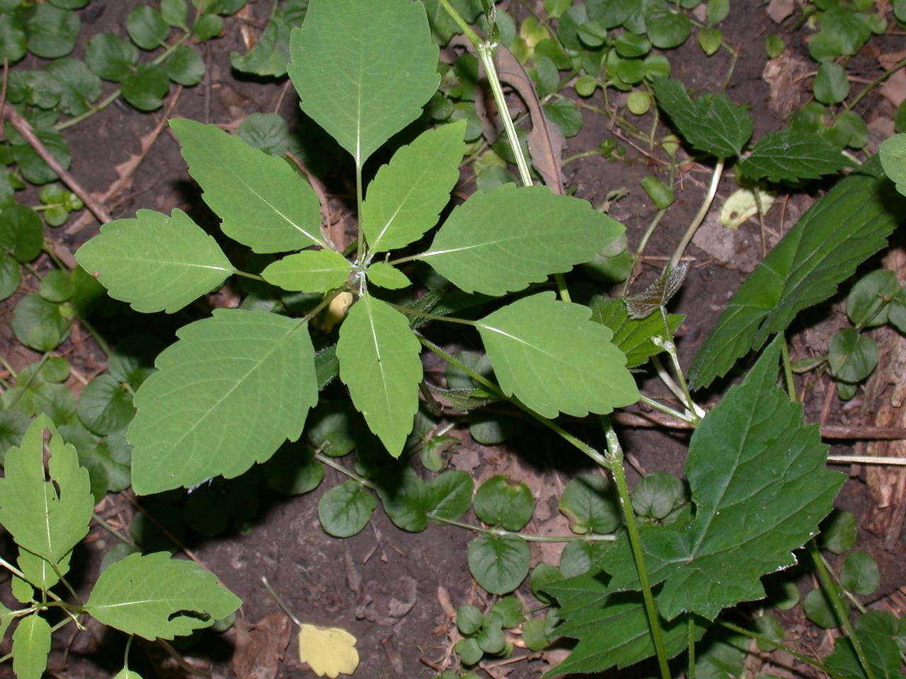 DSCN4108.JPG