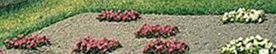 mendel garden 