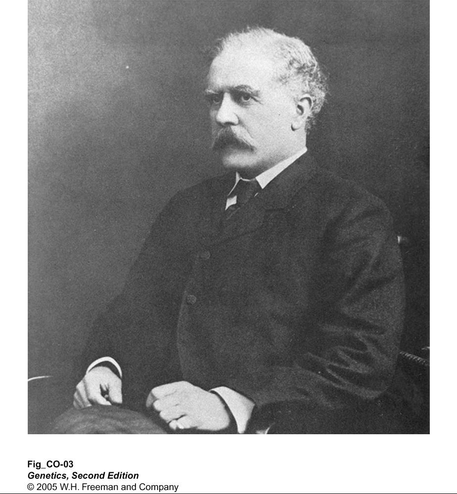 A Garrod