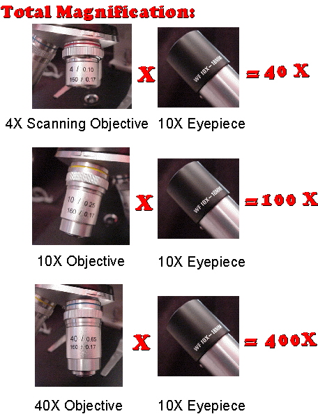 Magnification