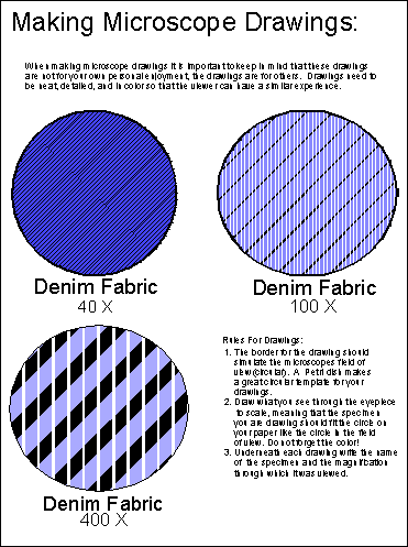 Microscope Drawings